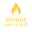 INDIAN takeaway Chingford Mount E4 Mount Spice & Grill  logo